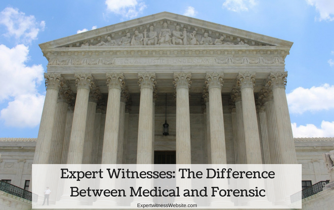 Expert Witness Directory